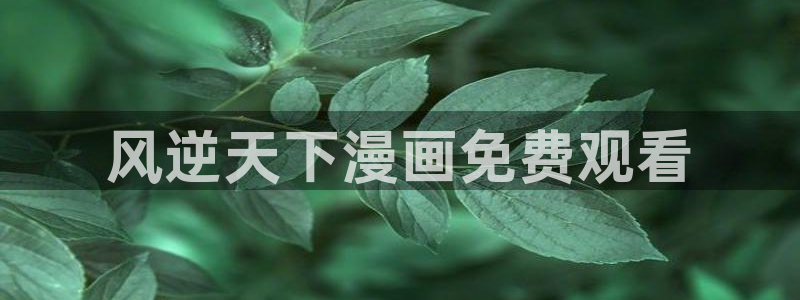 汗汗漫画――羞羞漫画入口：风逆天下漫画免费观看