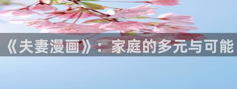 刀剑神域汗汗漫画：《夫妻漫画》：家庭的多元与可能