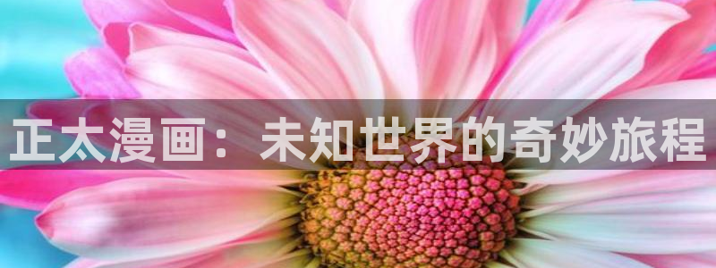 韩国汗汗漫画：正太漫画：未知世界的奇妙旅程