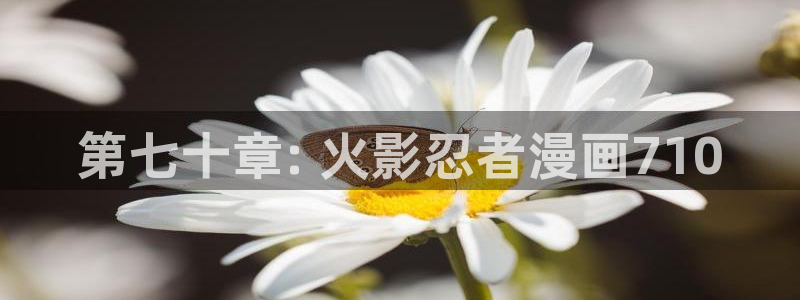 汗汗漫画首页官网：第七十章: 火影忍者漫画710