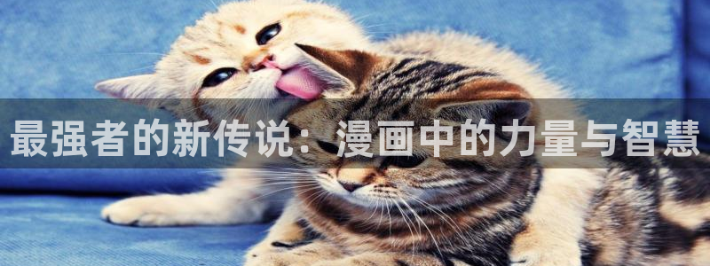 汗汗汗漫画：最强者的新传说：漫画中的力量与智慧
