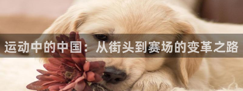 汗汗漫画中国漫画网：运动中的中国：从街头到赛场的变革之路