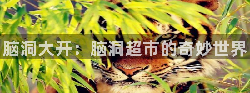 汗汗漫画主页：脑洞大开：脑洞超市的奇妙世界